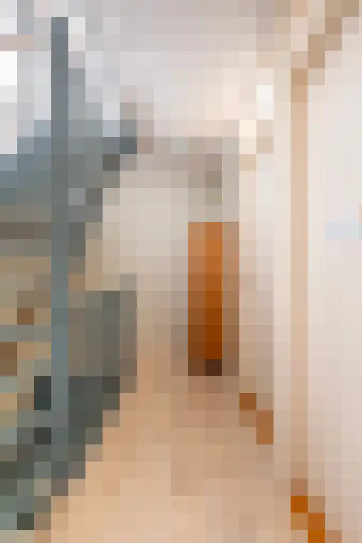 De Opslach 26 Ryptsjerk thumbnail 23
