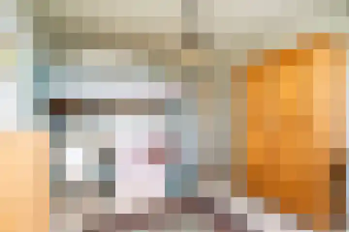De Opslach 26 Ryptsjerk thumbnail 28