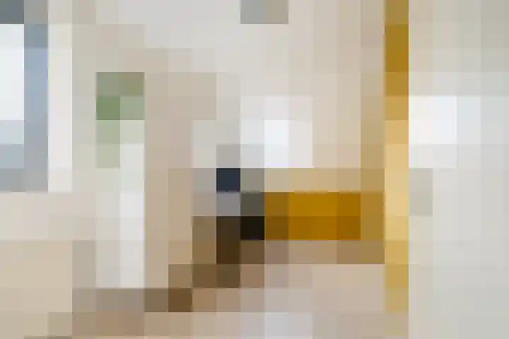 De Opslach 26 Ryptsjerk thumbnail 29