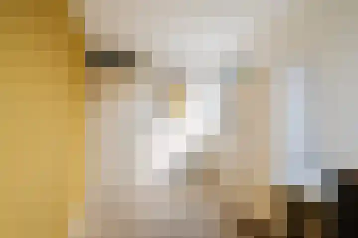 De Opslach 26 Ryptsjerk thumbnail 30