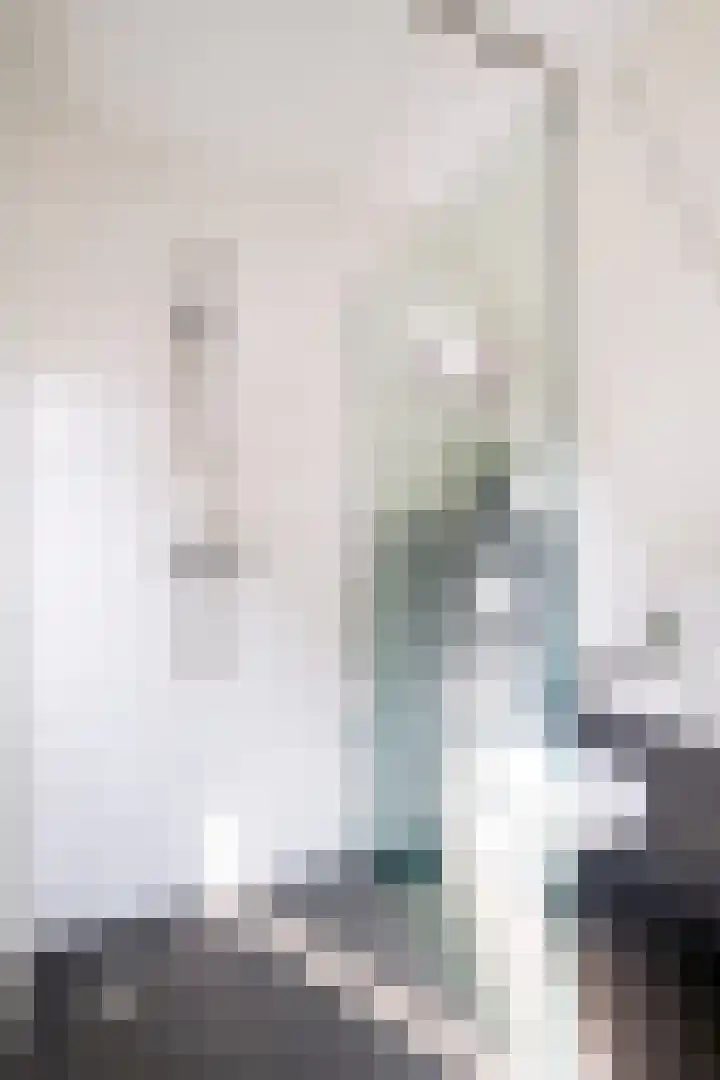 De Opslach 26 Ryptsjerk thumbnail 32