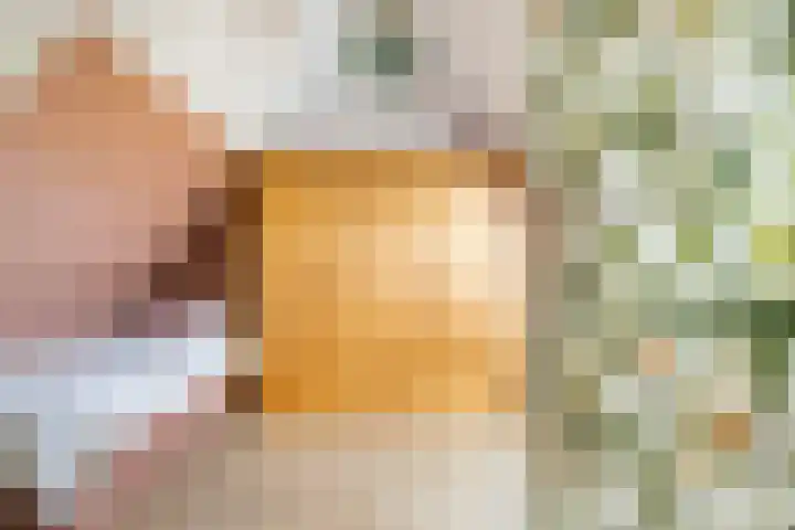 De Opslach 26 Ryptsjerk thumbnail 34