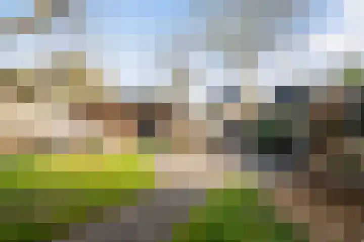 De Opslach 26 Ryptsjerk thumbnail 37