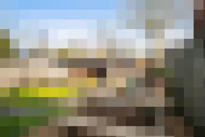 De Opslach 26 Ryptsjerk thumbnail 38