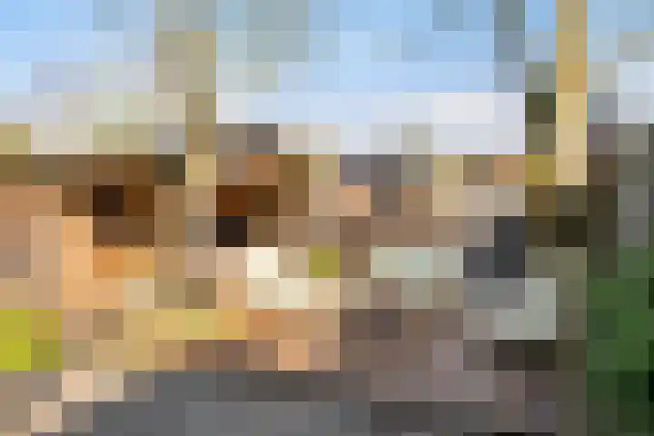 De Opslach 26 Ryptsjerk thumbnail 40