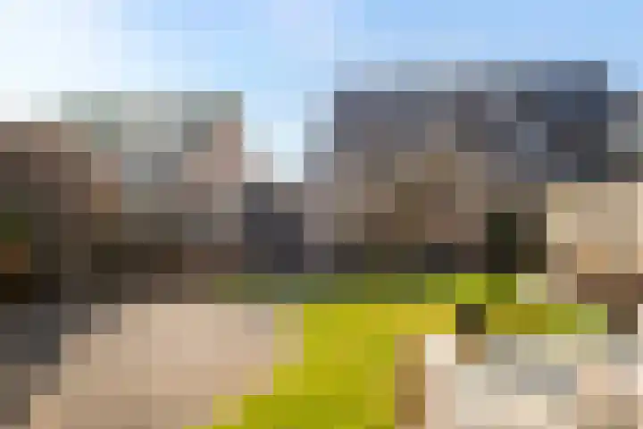 De Opslach 26 Ryptsjerk thumbnail 41