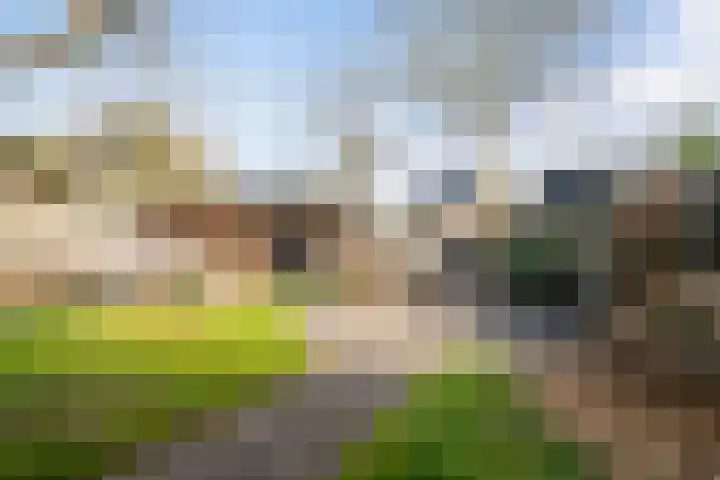 De Opslach 26 Ryptsjerk thumbnail 5