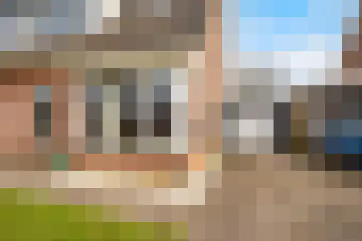 De Opslach 26 Ryptsjerk thumbnail 9