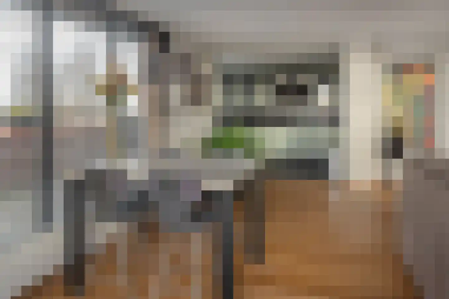 De Opslach 96 Leeuwarden thumbnail 6