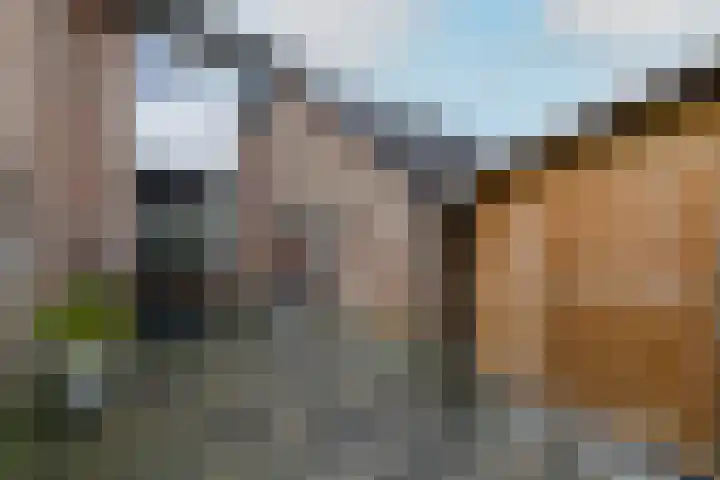 De Orion 11 Drachten thumbnail 39