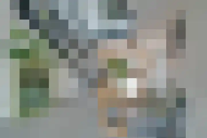 De Oude Molen 21 Muiden thumbnail 10