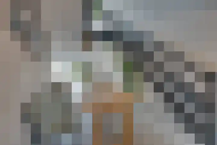 De Oude Molen 21 Muiden thumbnail 11