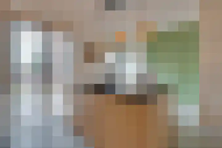 De Oude Molen 21 Muiden thumbnail 12