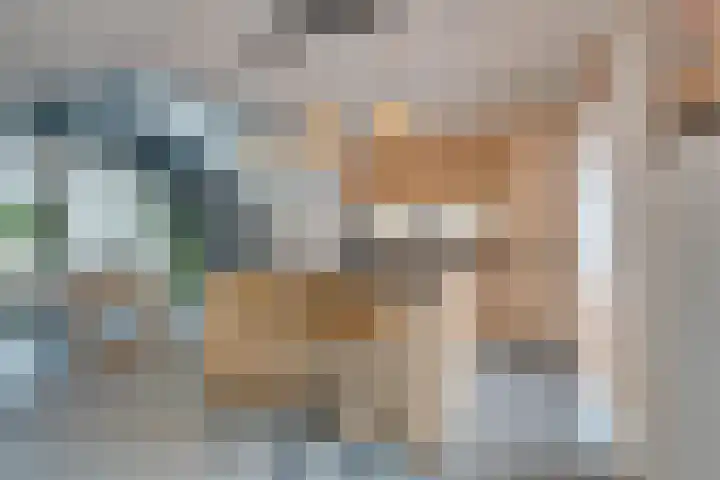 De Oude Molen 21 Muiden thumbnail 15