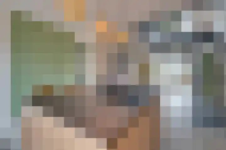 De Oude Molen 21 Muiden thumbnail 17