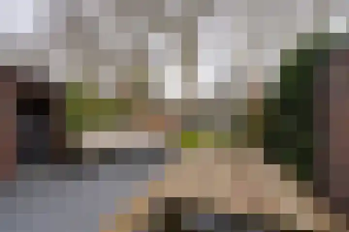 De Oude Molen 21 Muiden thumbnail 18