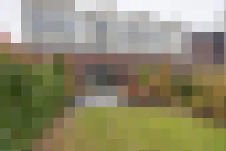 De Oude Molen 21 Muiden thumbnail 22