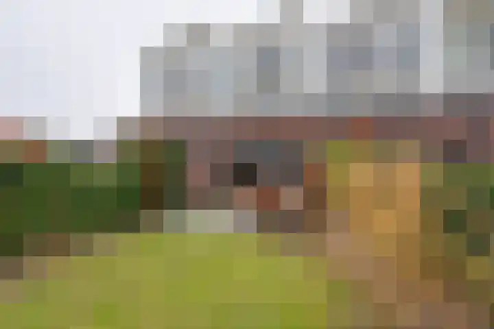 De Oude Molen 21 Muiden thumbnail 23