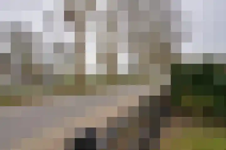 De Oude Molen 21 Muiden thumbnail 24