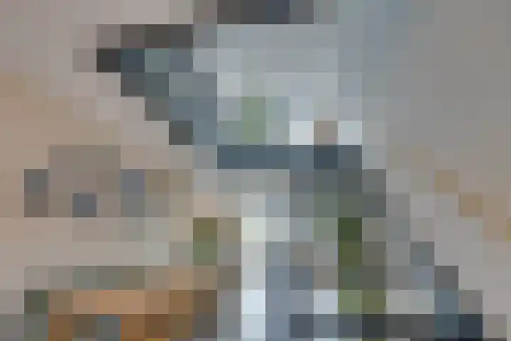 De Oude Molen 21 Muiden thumbnail 27