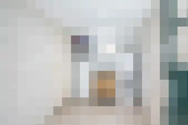 De Oude Molen 21 Muiden thumbnail 28