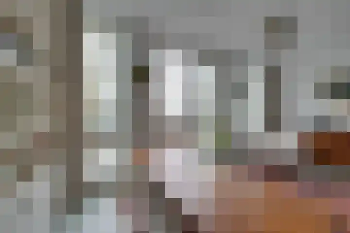 De Oude Molen 21 Muiden thumbnail 29