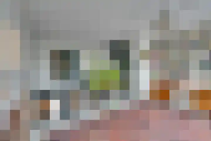 De Oude Molen 21 Muiden thumbnail 31