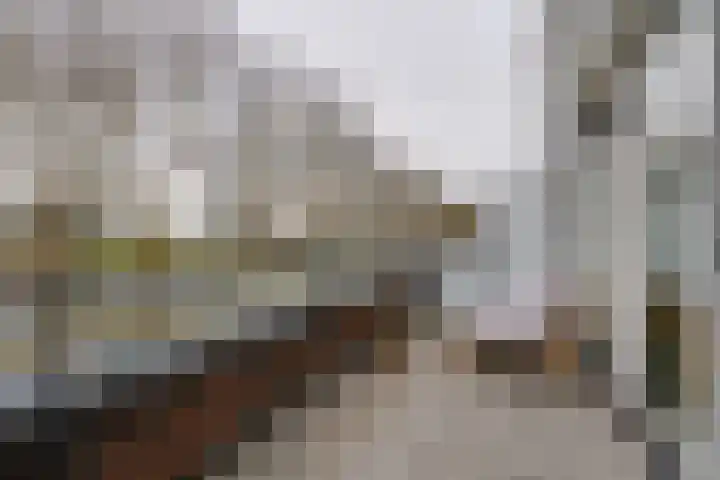 De Oude Molen 21 Muiden thumbnail 34
