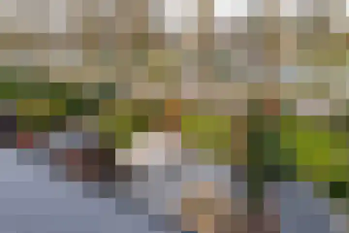 De Oude Molen 21 Muiden thumbnail 36