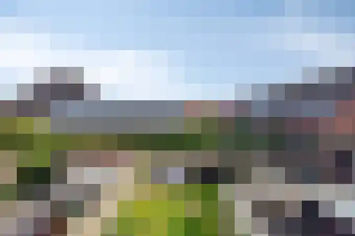 De Oude Molen 21 Muiden thumbnail 37