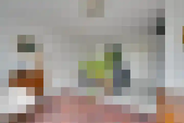 De Oude Molen 21 Muiden thumbnail 37