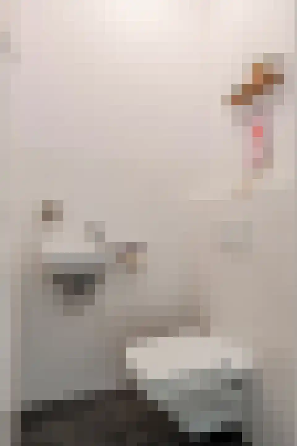 De Oude Molen 21 Muiden thumbnail 4
