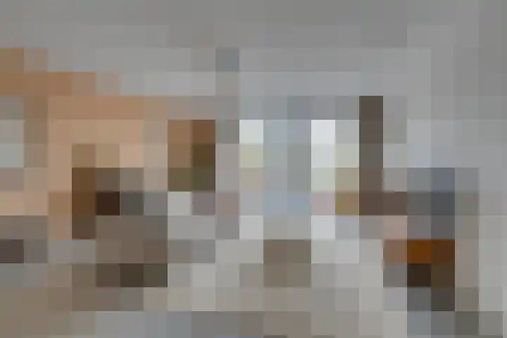 De Oude Molen 21 Muiden thumbnail 5