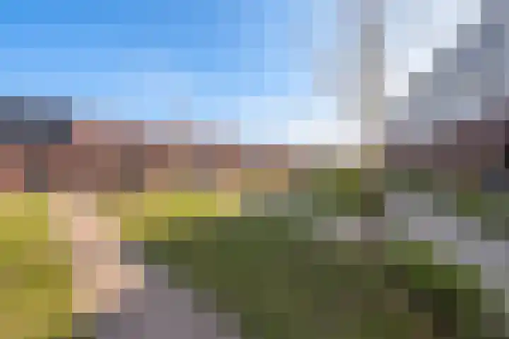 De Oude Molen 21 Muiden thumbnail 56
