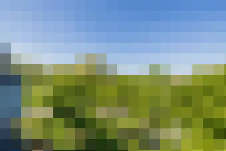 De Oude Molen 21 Muiden thumbnail 59