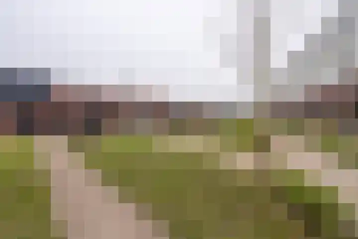 De Oude Molen 21 Muiden thumbnail 63