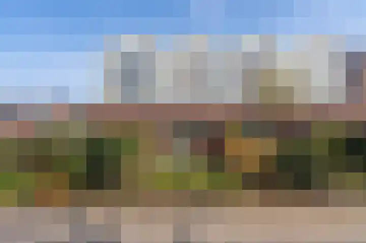 De Oude Molen 21 Muiden thumbnail 64
