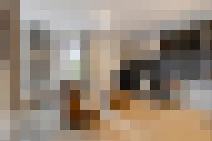 De Oude Vest 11 Oss thumbnail 12