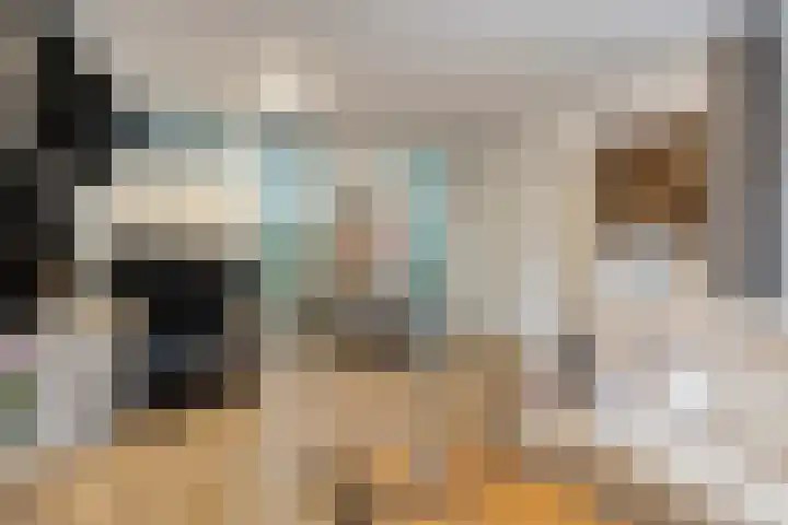 De Oude Vest 11 Oss thumbnail 13