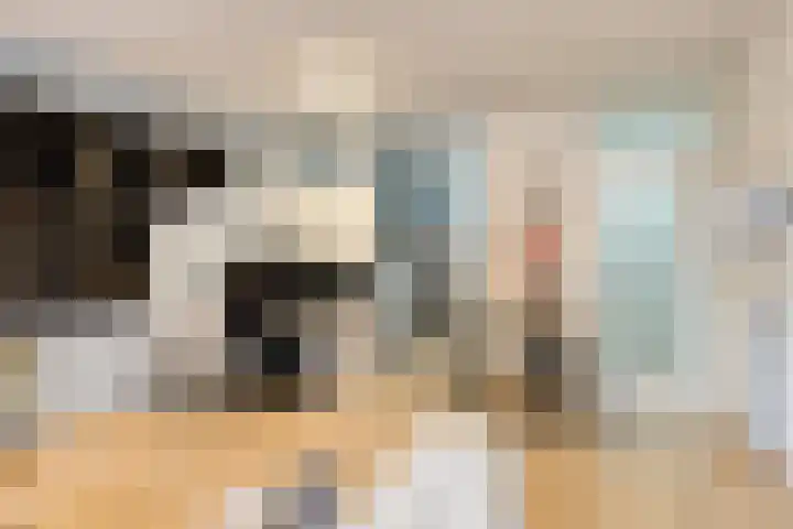 De Oude Vest 11 Oss thumbnail 14