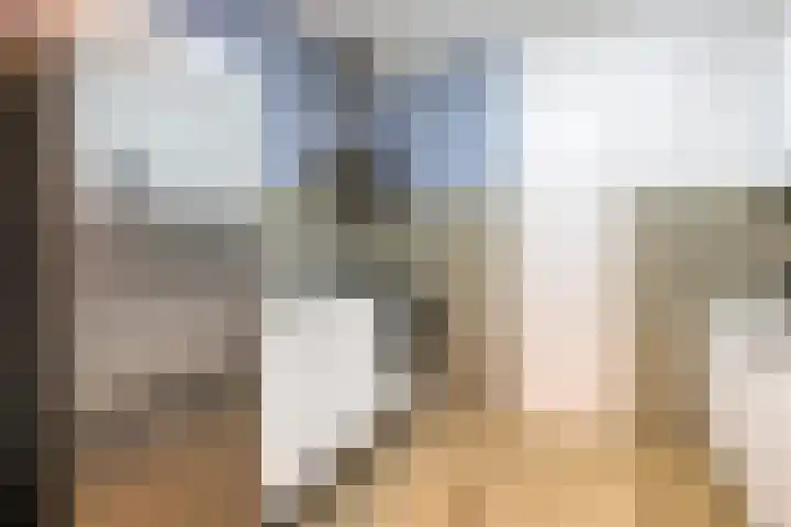 De Oude Vest 11 Oss thumbnail 16