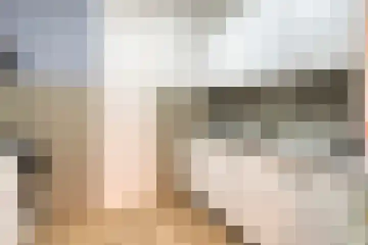 De Oude Vest 11 Oss thumbnail 17