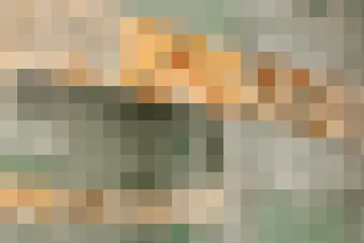 De Oude Vest 11 Oss thumbnail 24