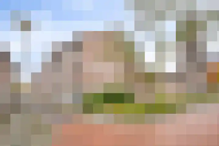 De Oude Vest 11 Oss thumbnail 27