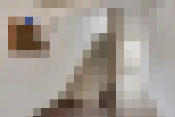 De Oude Vest 11 Oss thumbnail 7