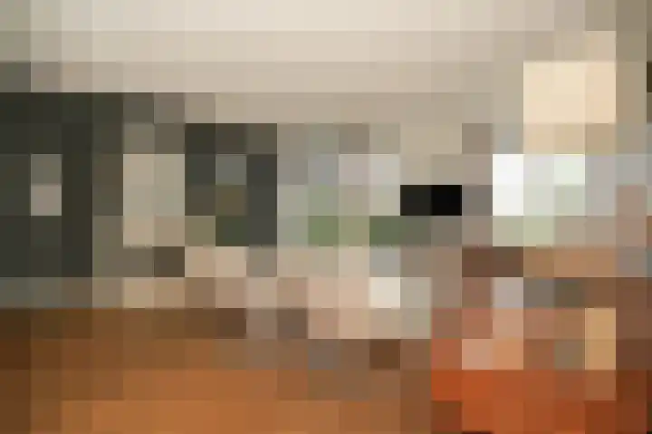 De Oude Weg 25 Elst Ut thumbnail 12