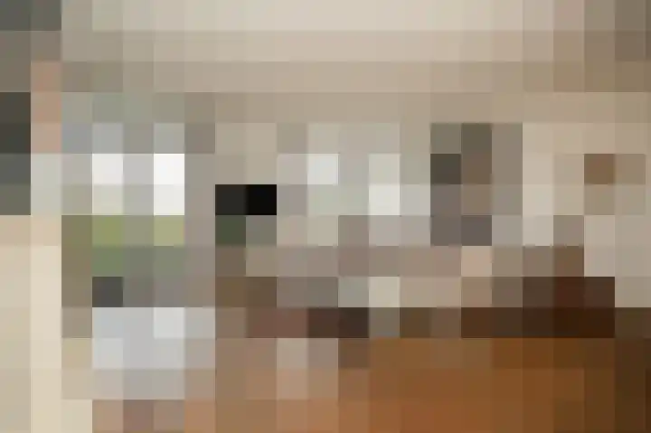 De Oude Weg 25 Elst Ut thumbnail 13