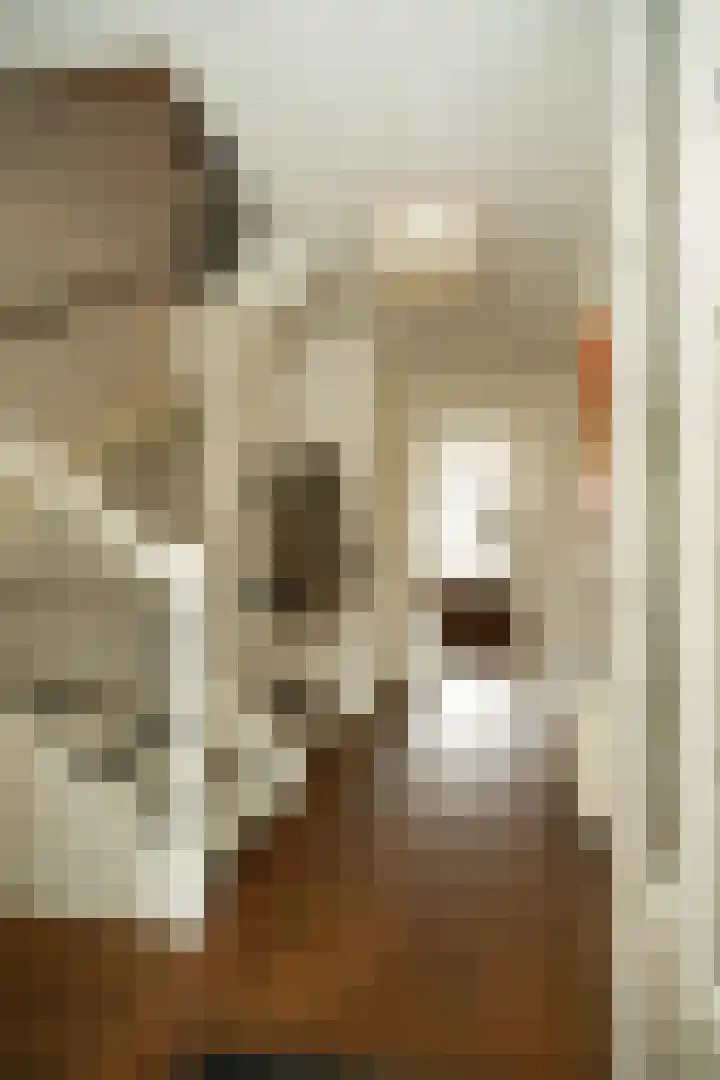 De Oude Weg 25 Elst Ut thumbnail 27