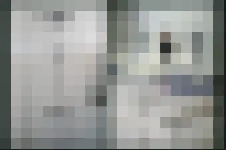 De Oude Weg 25 Elst Ut thumbnail 31