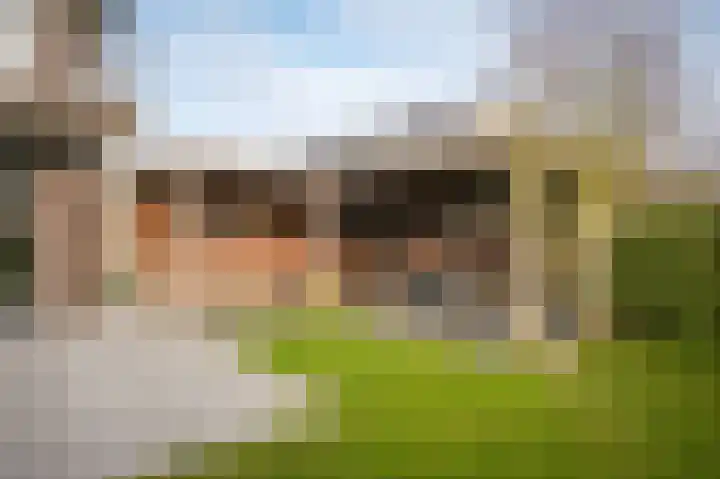 De Oude Weg 25 Elst Ut thumbnail 38